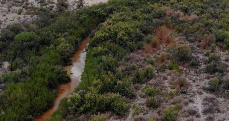Rio Grande River Landscape